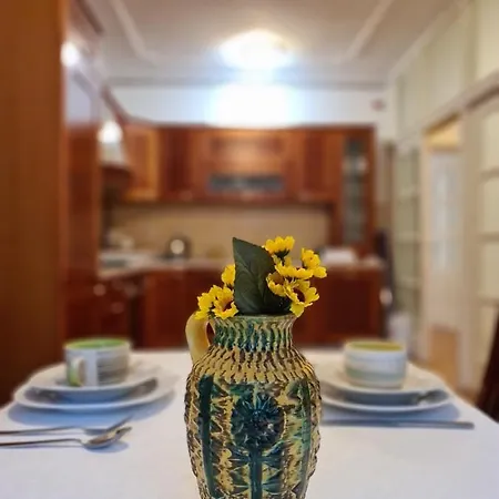 Center 公寓 塞拉耶佛